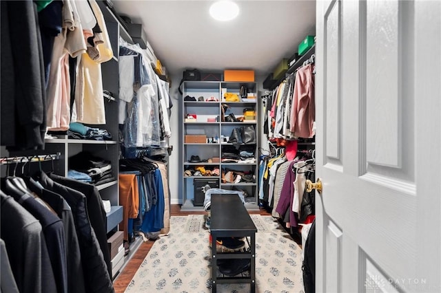 spacious closet with hardwood / wood-style flooring