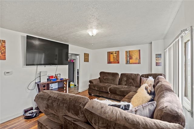 living room with light hardwood / wood-style floors, a textured ceiling, and a wealth of natural light