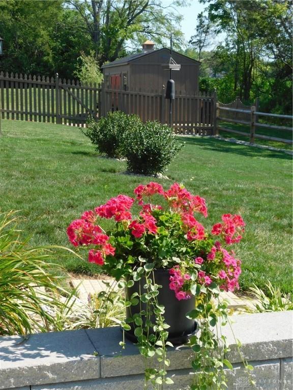 view of yard with a storage shed