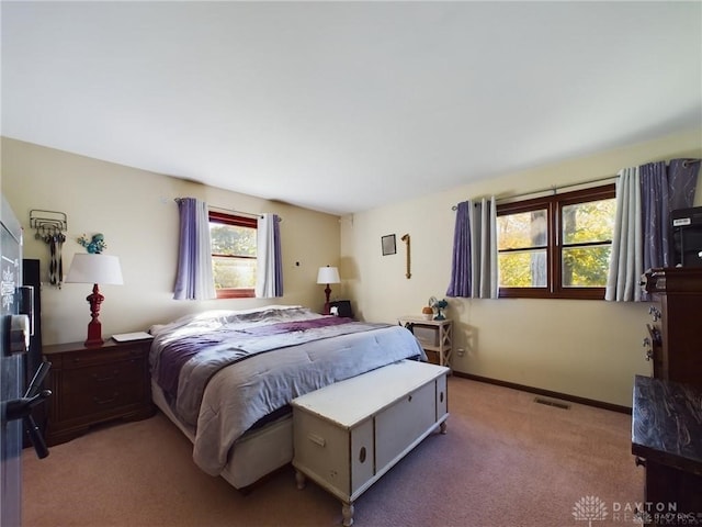 view of carpeted bedroom