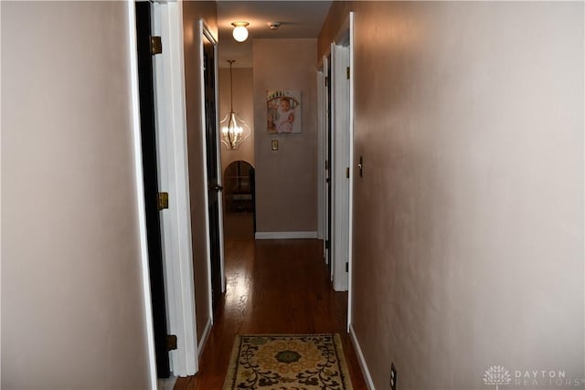 hallway with dark hardwood / wood-style floors