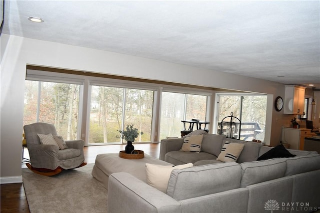 living room with a healthy amount of sunlight and hardwood / wood-style flooring