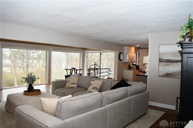 living room featuring hardwood / wood-style floors