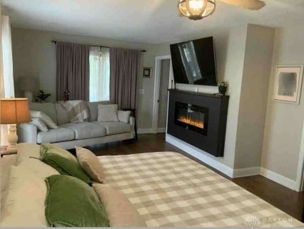 living room featuring dark hardwood / wood-style flooring