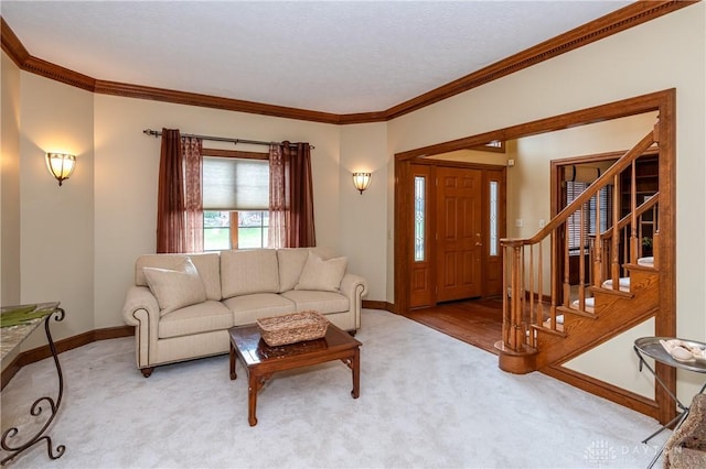 living room with carpet flooring and crown molding