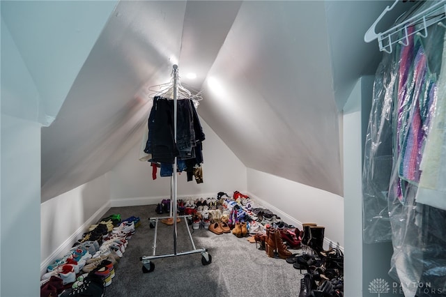 interior space with carpet flooring and lofted ceiling