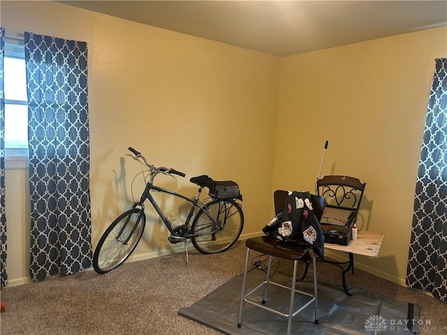 miscellaneous room featuring carpet flooring