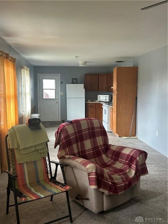 living room featuring light colored carpet