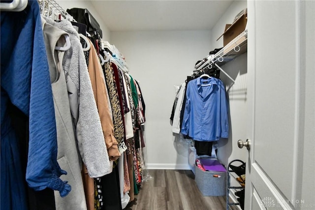 walk in closet with hardwood / wood-style floors