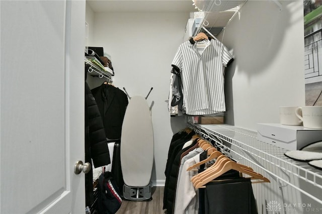 walk in closet featuring hardwood / wood-style flooring