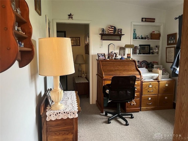 home office with carpet floors