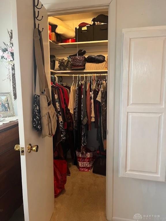 spacious closet with carpet floors