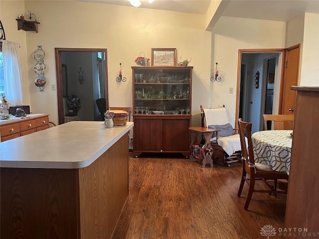 kitchen featuring a kitchen island and dark wood-type flooring