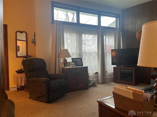 living room with carpet and wood walls