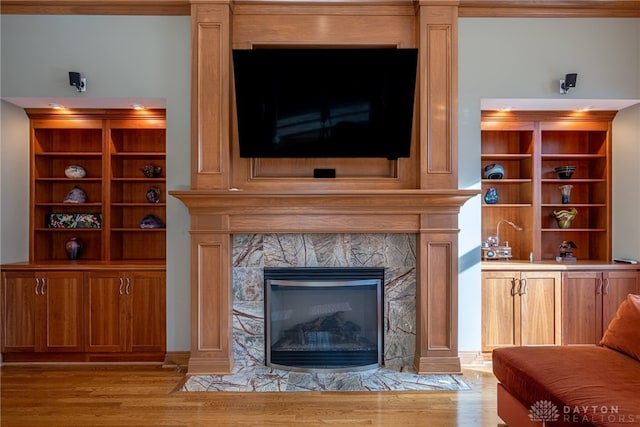 living room featuring a fireplace and light hardwood / wood-style flooring