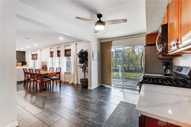 kitchen with stainless steel appliances and ceiling fan