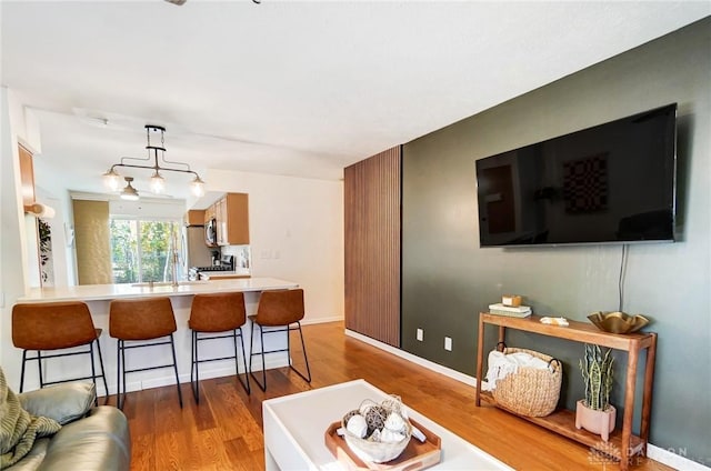 living room with hardwood / wood-style flooring