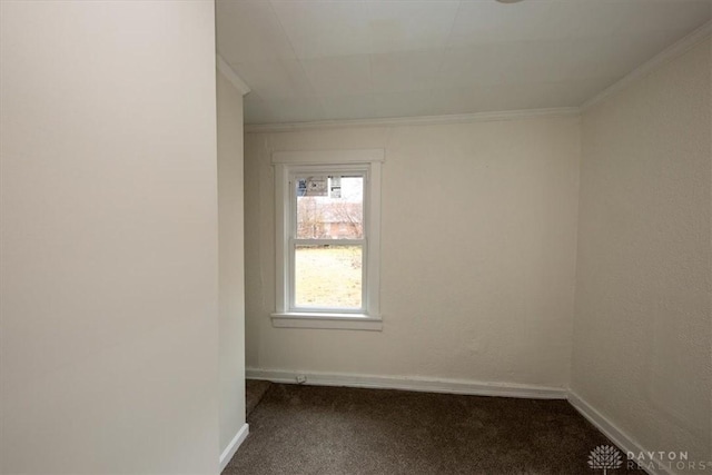 empty room with ornamental molding and carpet flooring