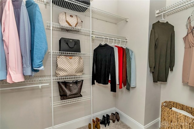 view of walk in closet