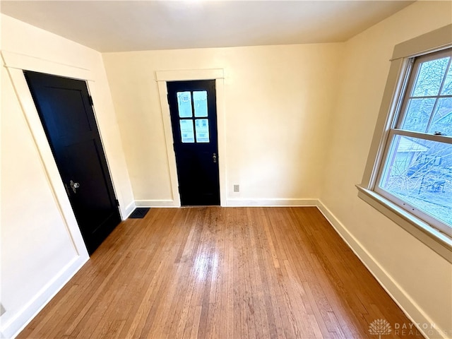 entryway featuring light wood-type flooring and a wealth of natural light