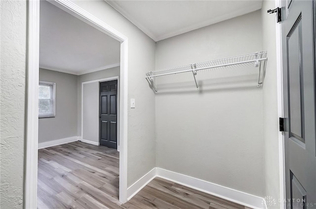 walk in closet featuring light hardwood / wood-style flooring