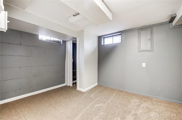 basement featuring light carpet and electric panel