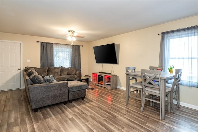 living room featuring hardwood / wood-style flooring