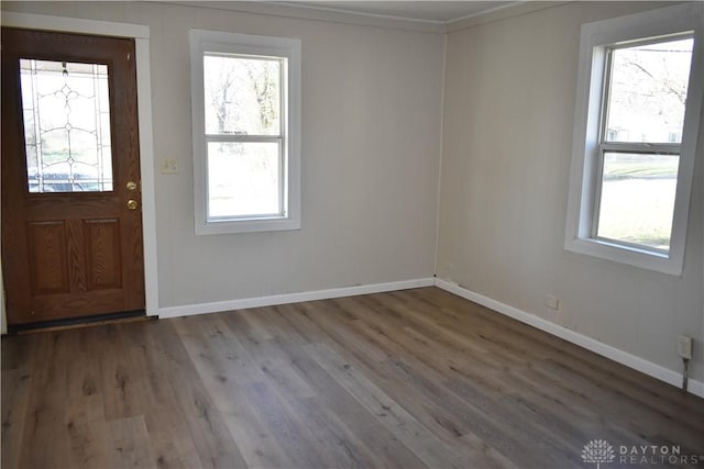 entryway featuring a wealth of natural light, crown molding, and hardwood / wood-style flooring