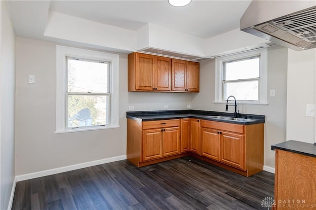 kitchen with dark hardwood / wood-style flooring, a wealth of natural light, sink, and wall chimney exhaust hood