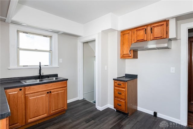 kitchen featuring sink and dark hardwood / wood-style floors