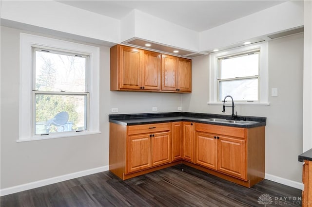 kitchen with dark hardwood / wood-style floors, a healthy amount of sunlight, and sink