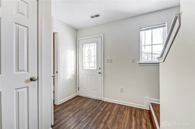 entrance foyer featuring a textured ceiling, dark hardwood / wood-style floors, and a healthy amount of sunlight