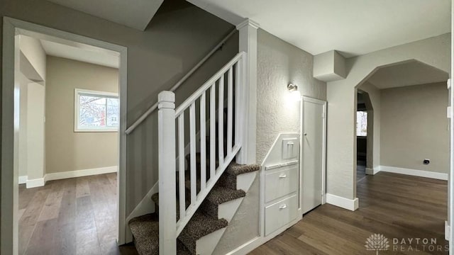 stairs with hardwood / wood-style floors