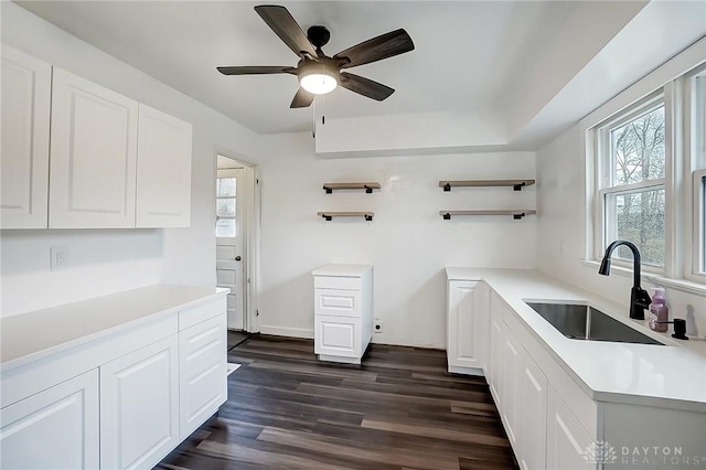 clothes washing area featuring dark hardwood / wood-style floors, ceiling fan, a healthy amount of sunlight, and sink