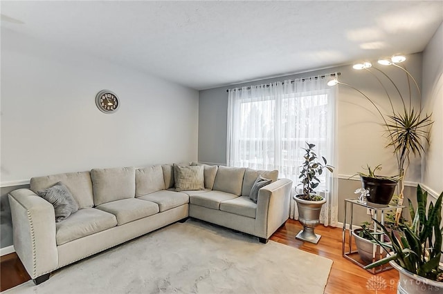 living room with hardwood / wood-style flooring