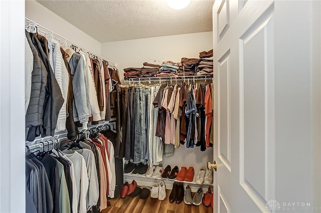 spacious closet with hardwood / wood-style floors