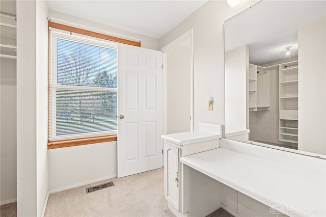 bathroom with a wealth of natural light