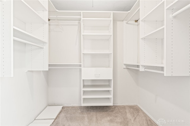 walk in closet with light colored carpet