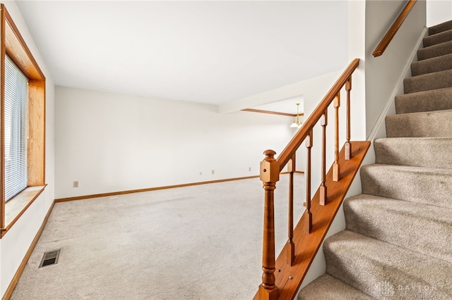 stairs featuring carpet floors