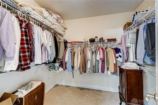 spacious closet featuring light carpet