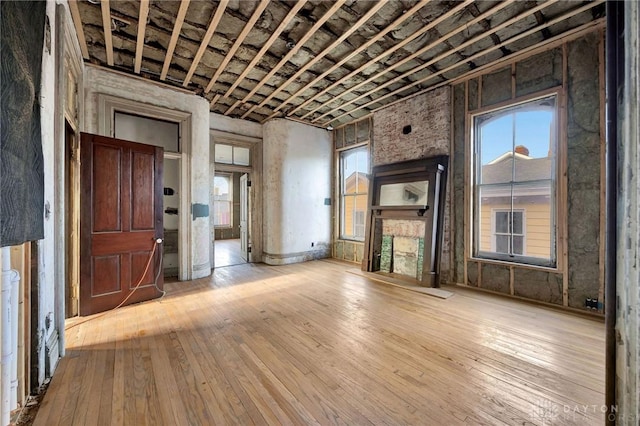 miscellaneous room featuring light hardwood / wood-style flooring and a wealth of natural light