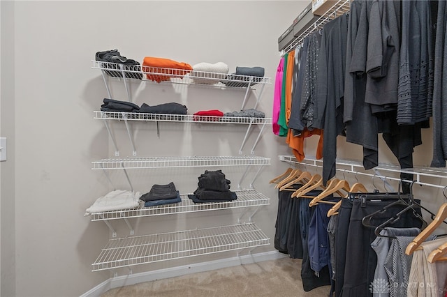 spacious closet featuring carpet floors