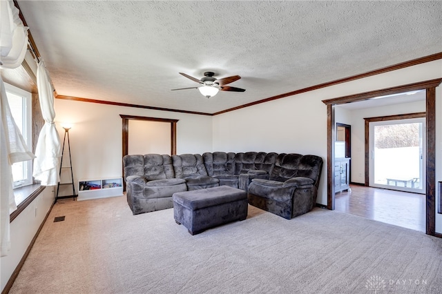 carpeted living area with ornamental molding, visible vents, and a textured ceiling