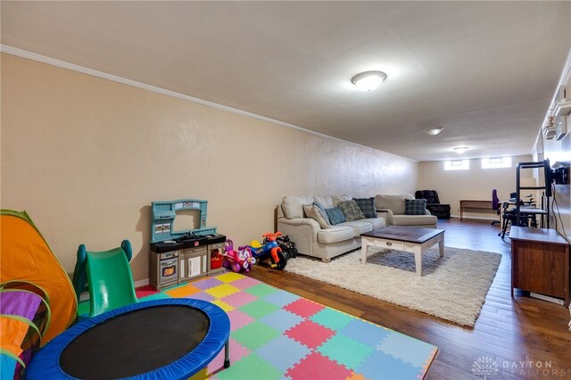 recreation room with crown molding and dark wood-type flooring