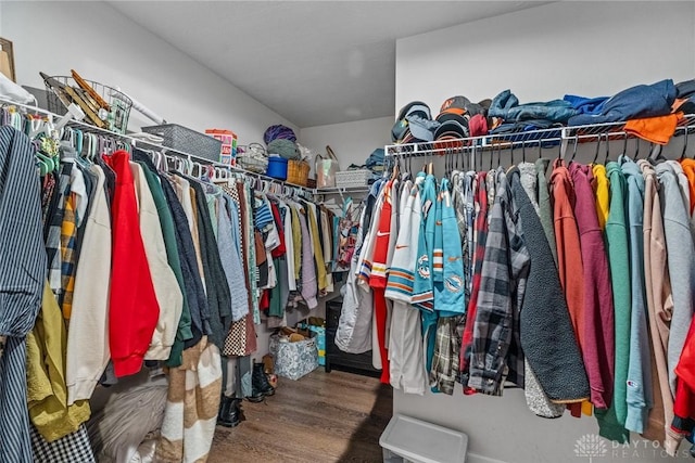 walk in closet with hardwood / wood-style floors