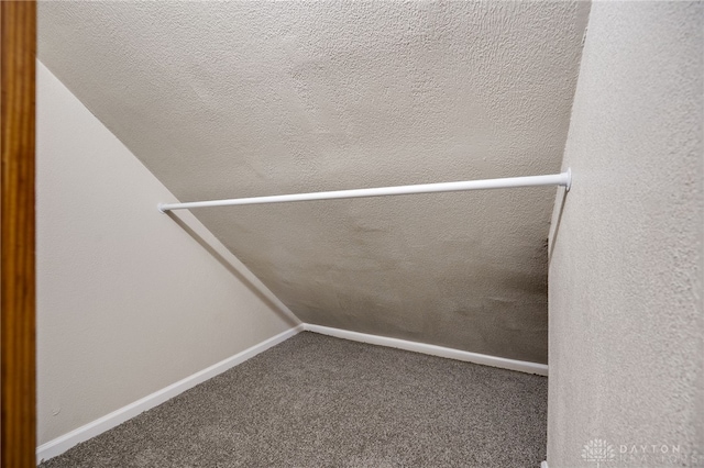 walk in closet with carpet flooring