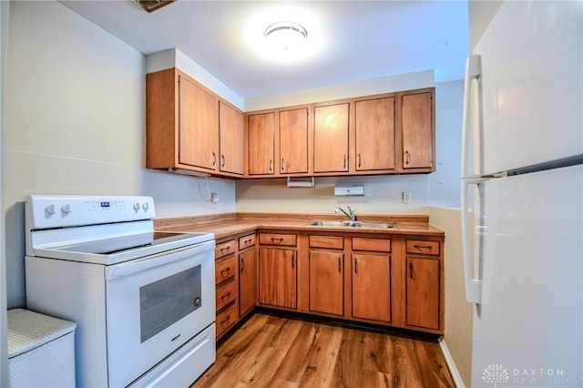 kitchen with sink, light hardwood / wood-style floors, and white appliances