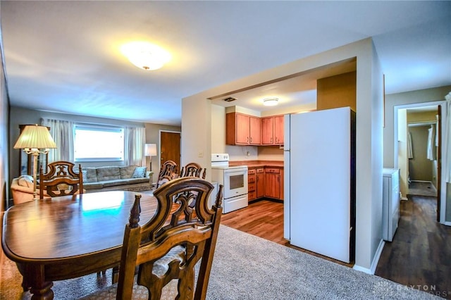 dining area with carpet flooring