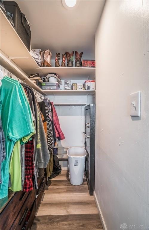 spacious closet featuring hardwood / wood-style flooring