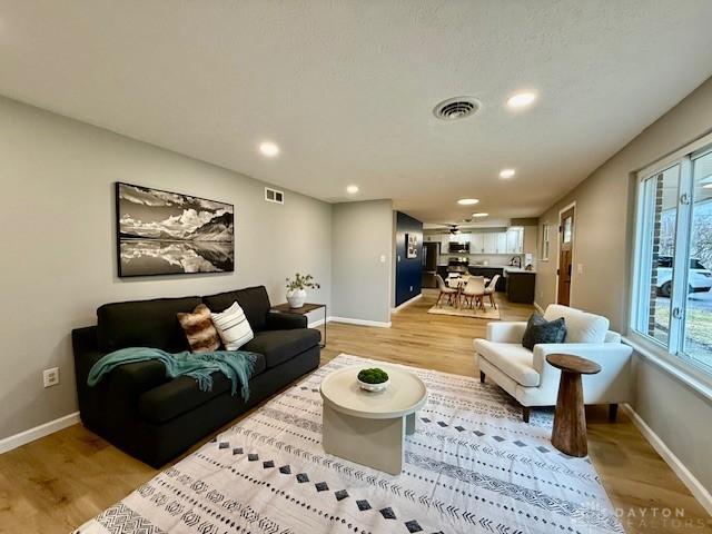 living room with light wood-type flooring